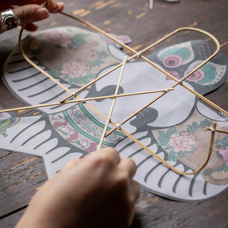 Swallow Bird Kite Craft Kit: DIY Traditional Chinese Good Luck Kite